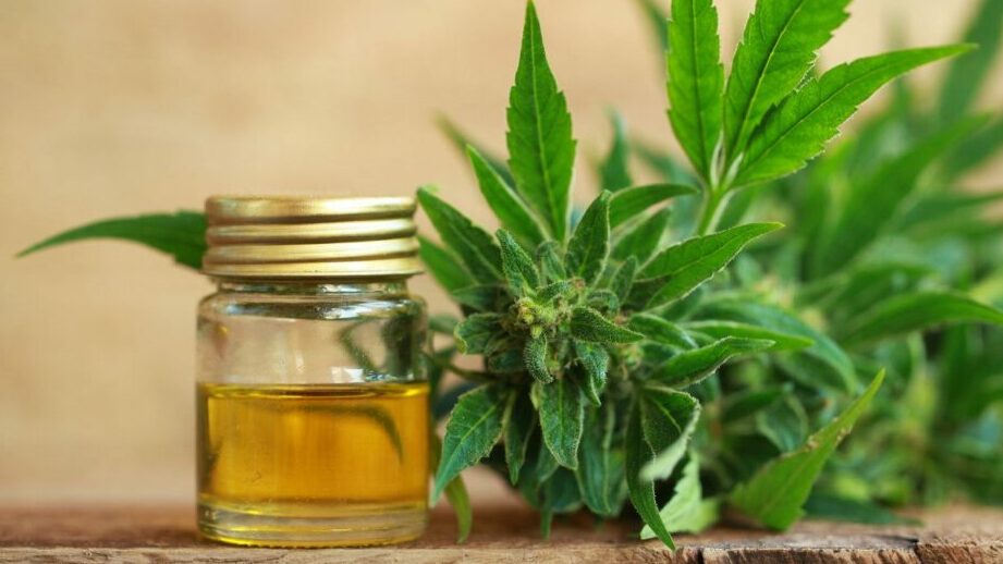 Comment les huiles, le CBD et d&rsquo;autres produits à base de cannabis peuvent-ils améliorer le traitement des maladies chroniques et les symptômes associés ?