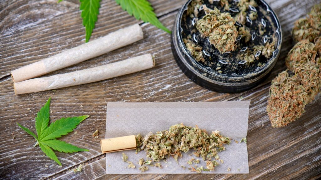 Les meilleures variétés de cannabis pour produire du hash