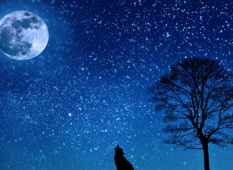 Que faire lors d&rsquo;une soirée de pleine lune pour harmoniser votre énergie spirituelle ?