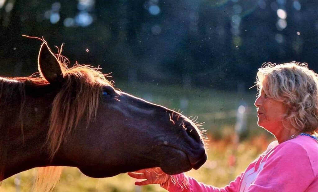 Cheval de métal en feng shui : comment harmoniser votre espace ?