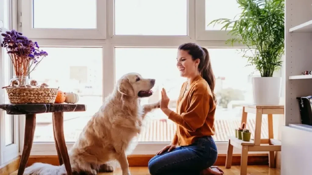 Horoscope du chien aujourd’hui : que révèlent les astres sur votre compagnon canin ?