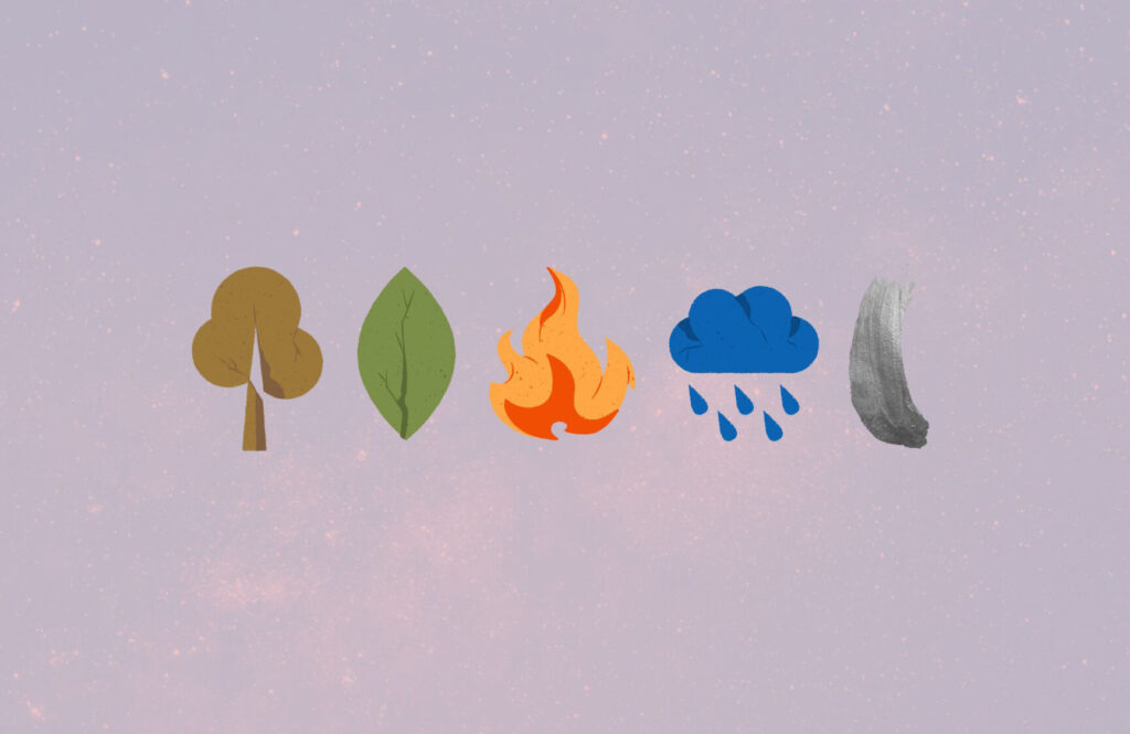 Quels sont les secrets du singe de feu dans l’astrologie chinoise ?