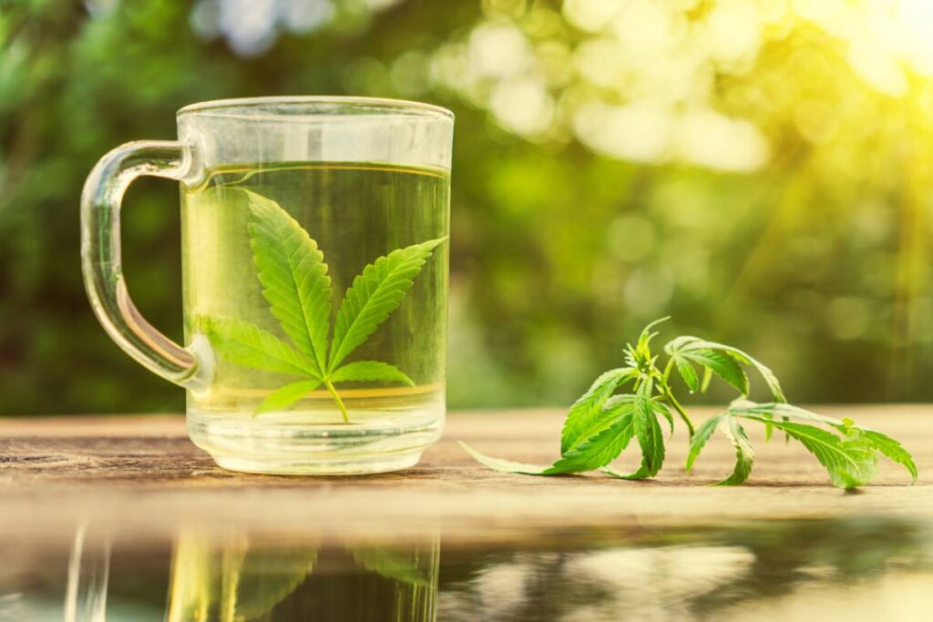 Les différences entre infusion, décoction et tisane aux fleurs de CBD