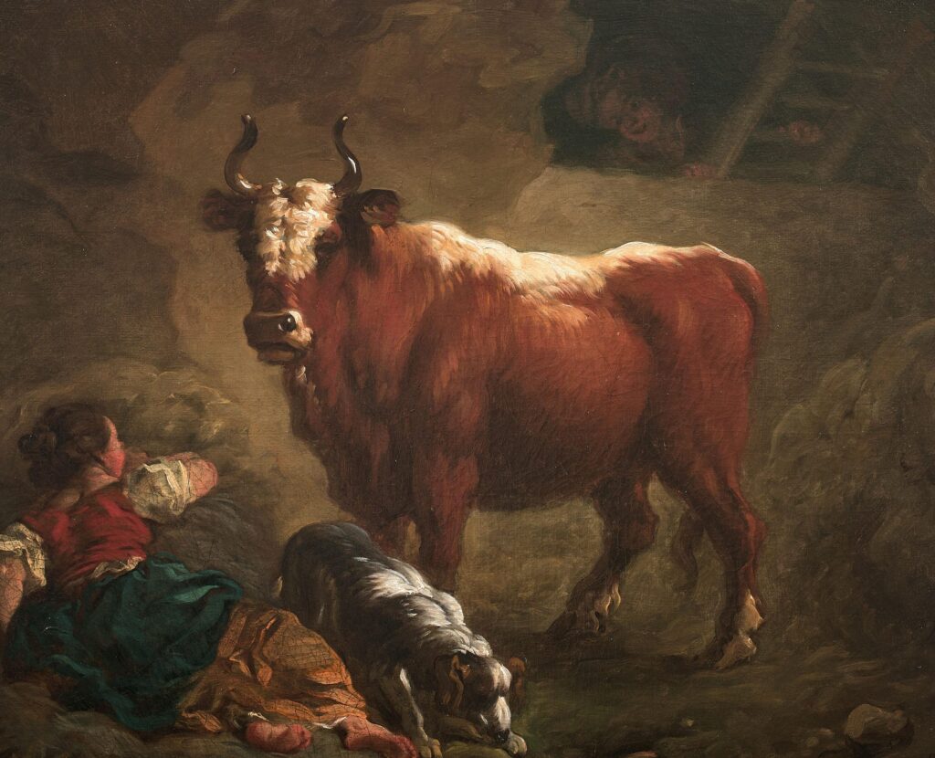 Comment le magazine Mon Cheval peut enrichir votre parcours spirituel équin ?