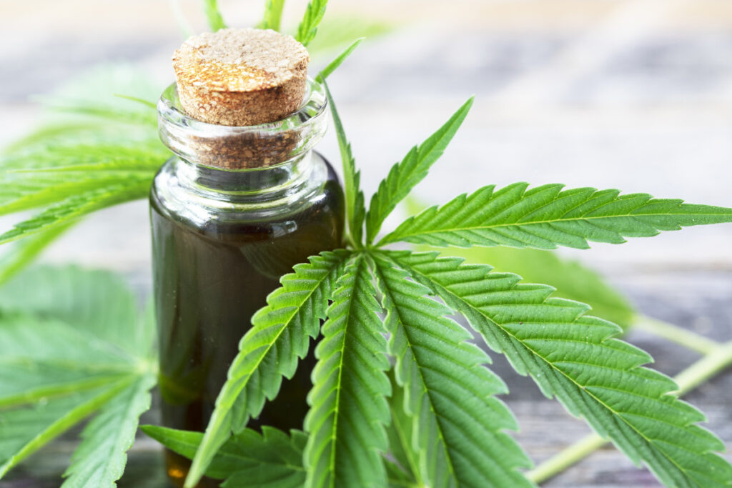 Le CBD, simple tendance ou révolution douce durable ?