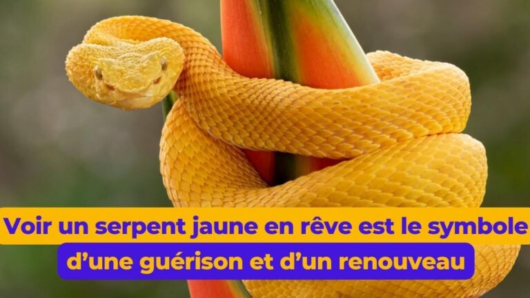 Rêver de serpent : toutes les significations possibles