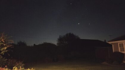Le ciel nocturne vu depuis un jardin